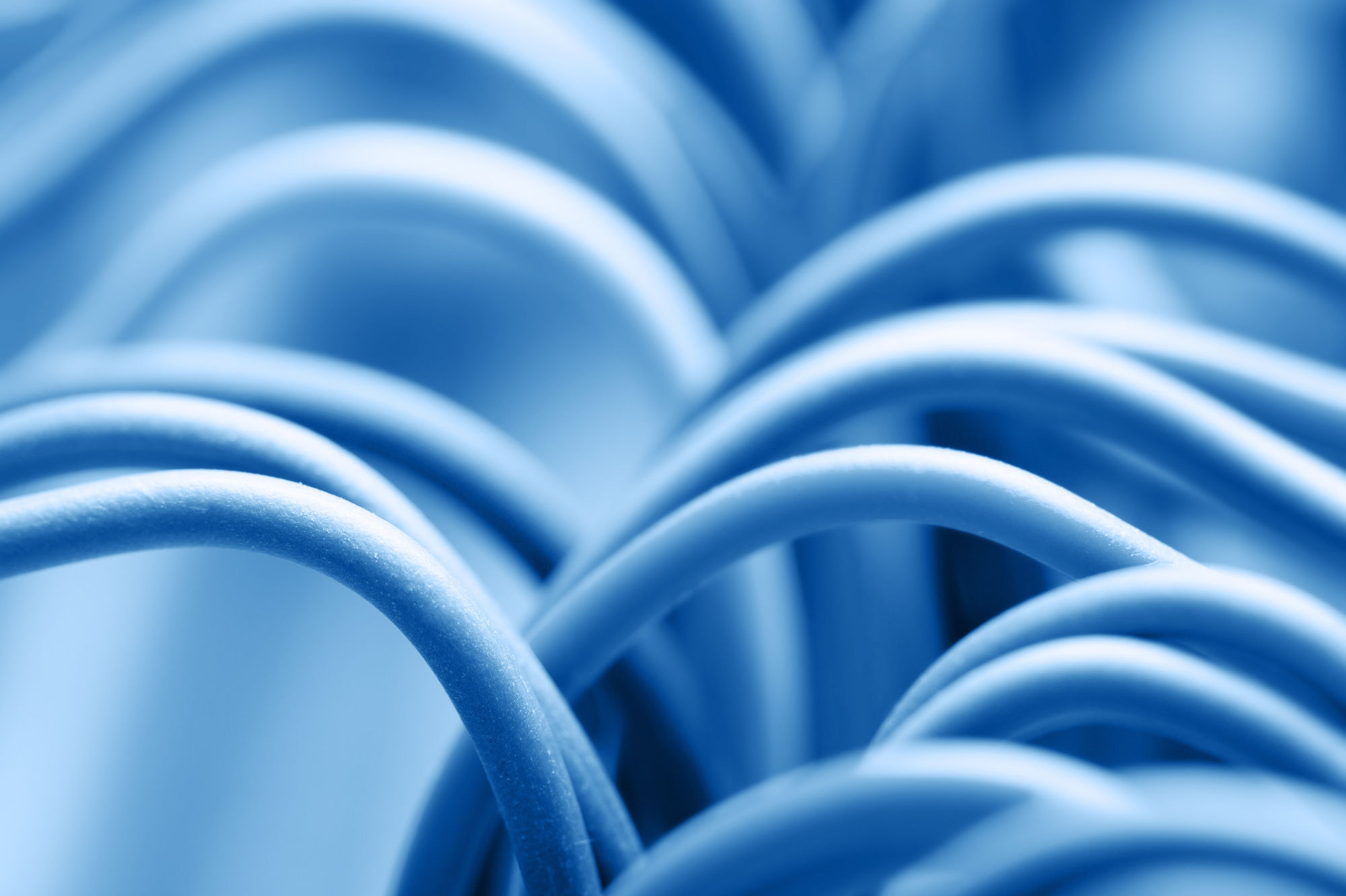 Close up of network cables