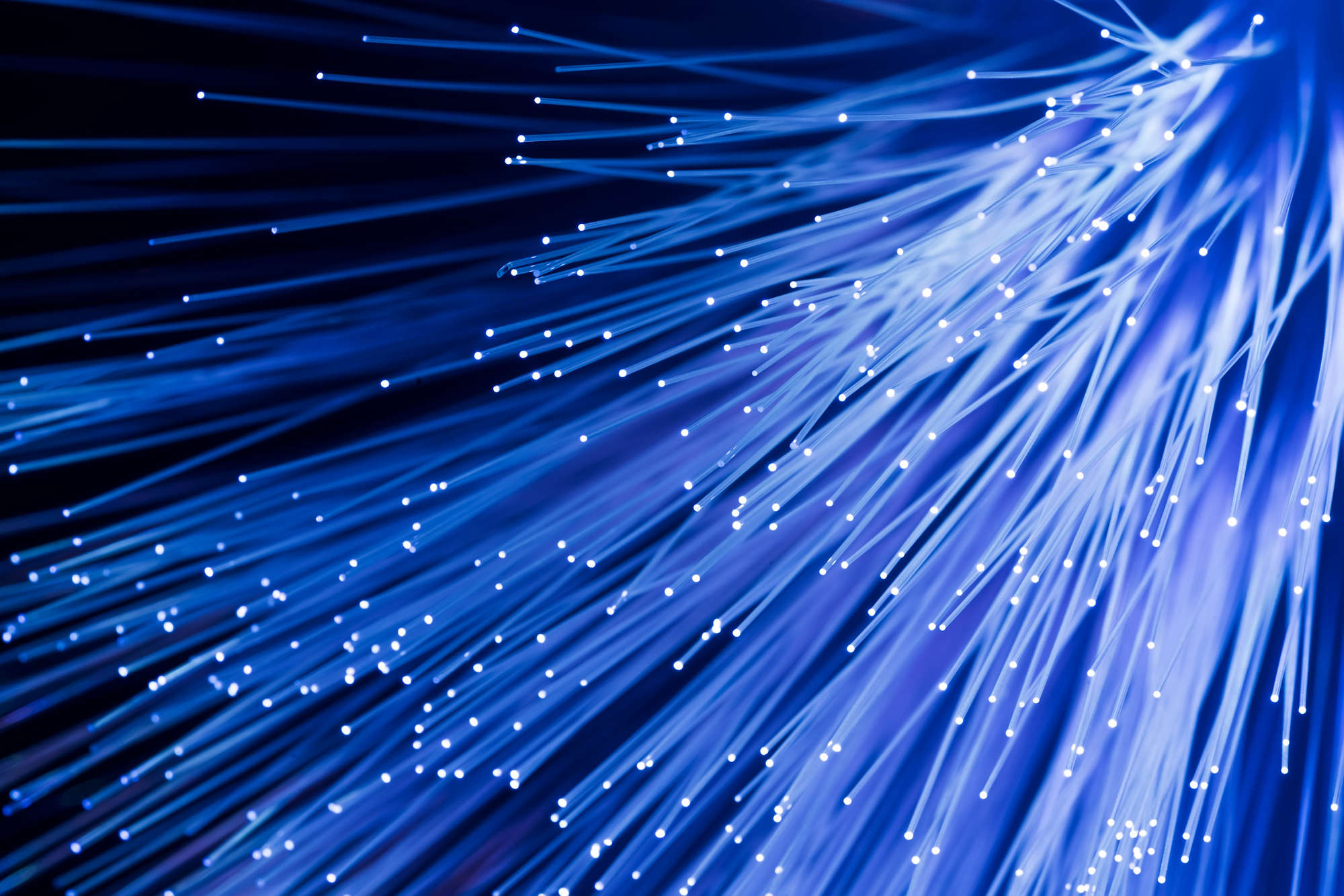 Close up of fiber optic cables
